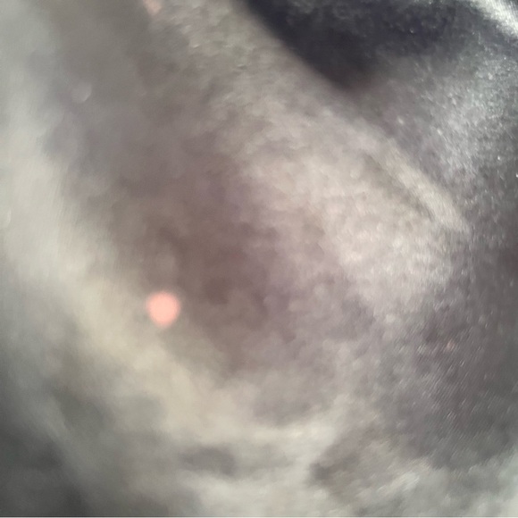 Coach Black Leather Shoulder Bag with Turnlock Closure - Picture 14 of 14